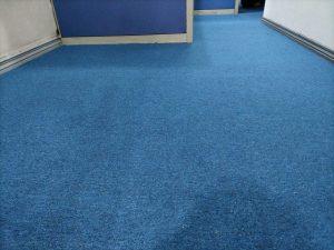 Blue carpet roll Pasig