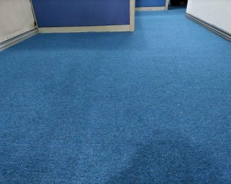 Exploring the Calming Influence of Blue Carpets in Office Environments : Ortigas Pasig Project