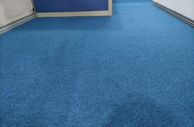 Exploring the Calming Influence of Blue Carpets in Office Environments : Ortigas Pasig Project